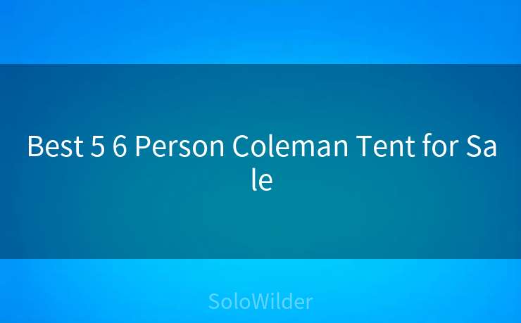 Best 5 6 Person Coleman Tent for Sale