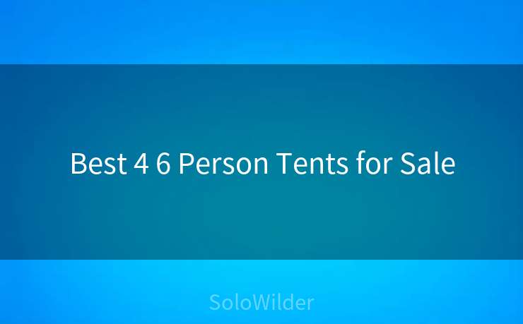 Best 4 6 Person Tents for Sale
